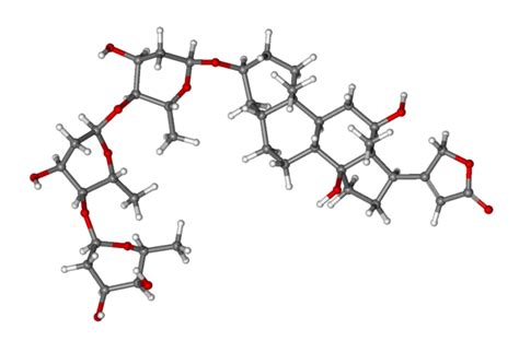 digoksiini myrkytys|Digoksiini – Wikipedia.